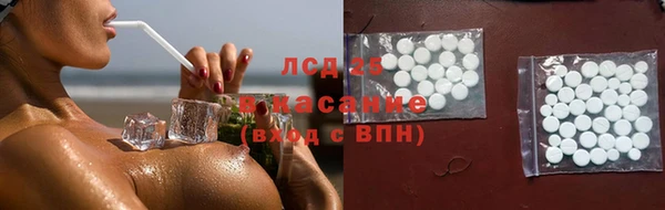 гашик Инсар