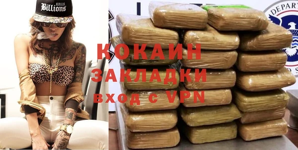 гашик Инсар