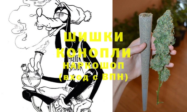 гашик Инсар